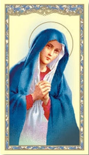 Pro-Life Laminated Prayer Card - Catholic Gifts Canada