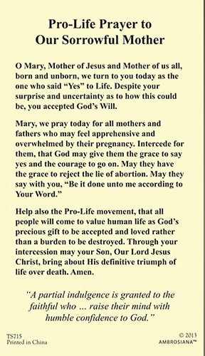 Pro-Life Laminated Prayer Card - Catholic Gifts Canada