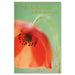 Poppy Sympathy Card - Catholic Gifts Canada