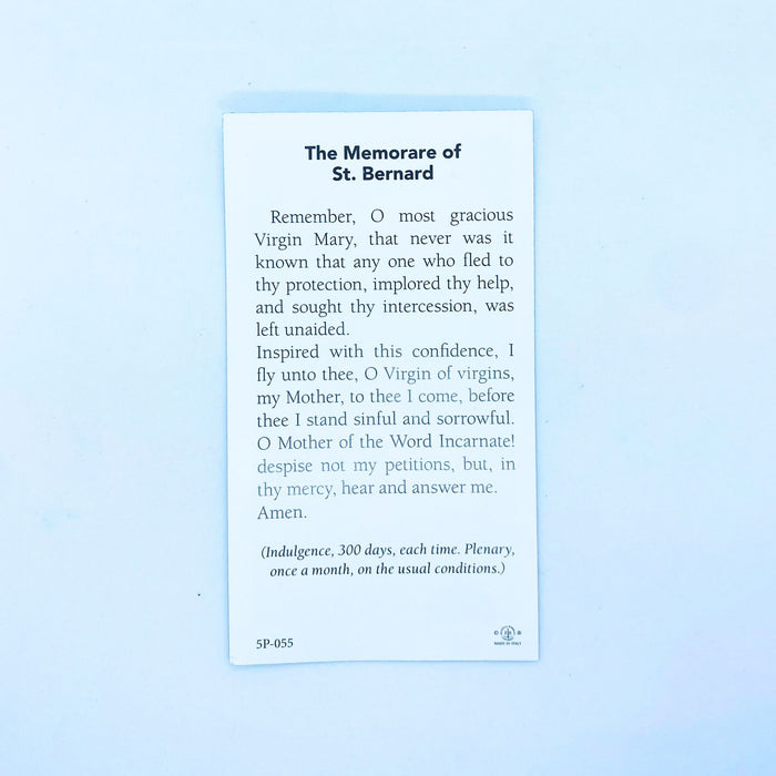 Miraculous Medal on 24" Chain, With Holy Card