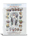 Holy Rosary Illustrated (Book) - Catholic Gifts Canada